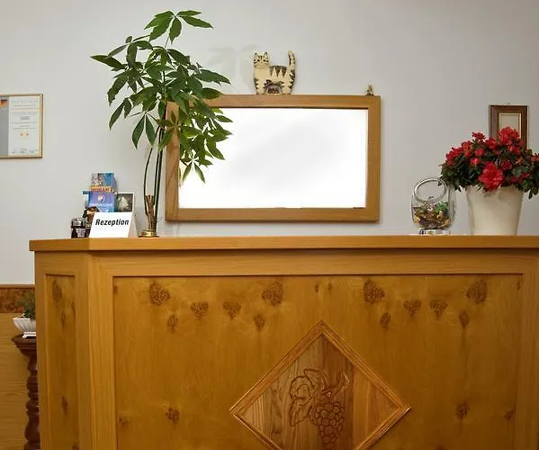 Hotel Zur Traube Bad Homburg vor der Hoehe